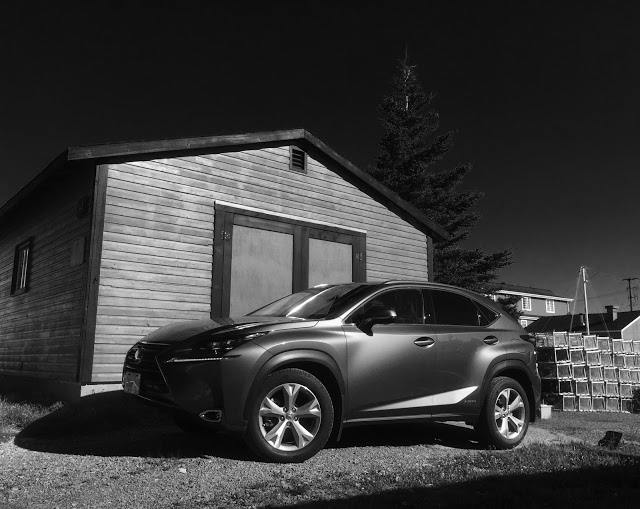 2015 Lexus NX300h