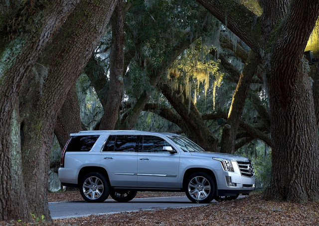 2015 Cadillac Escalade forest