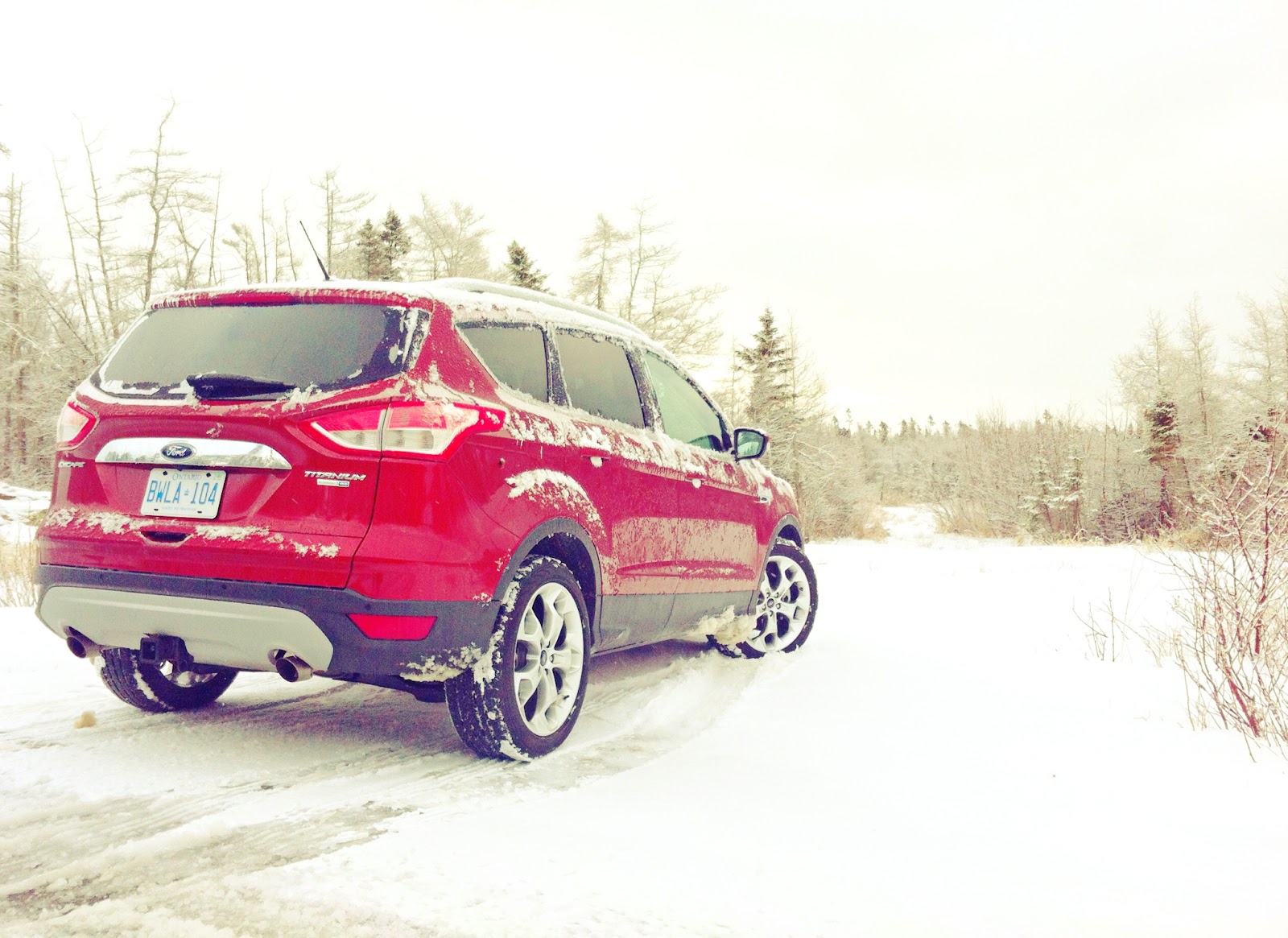 2015 Ford Escape Titanium red rear