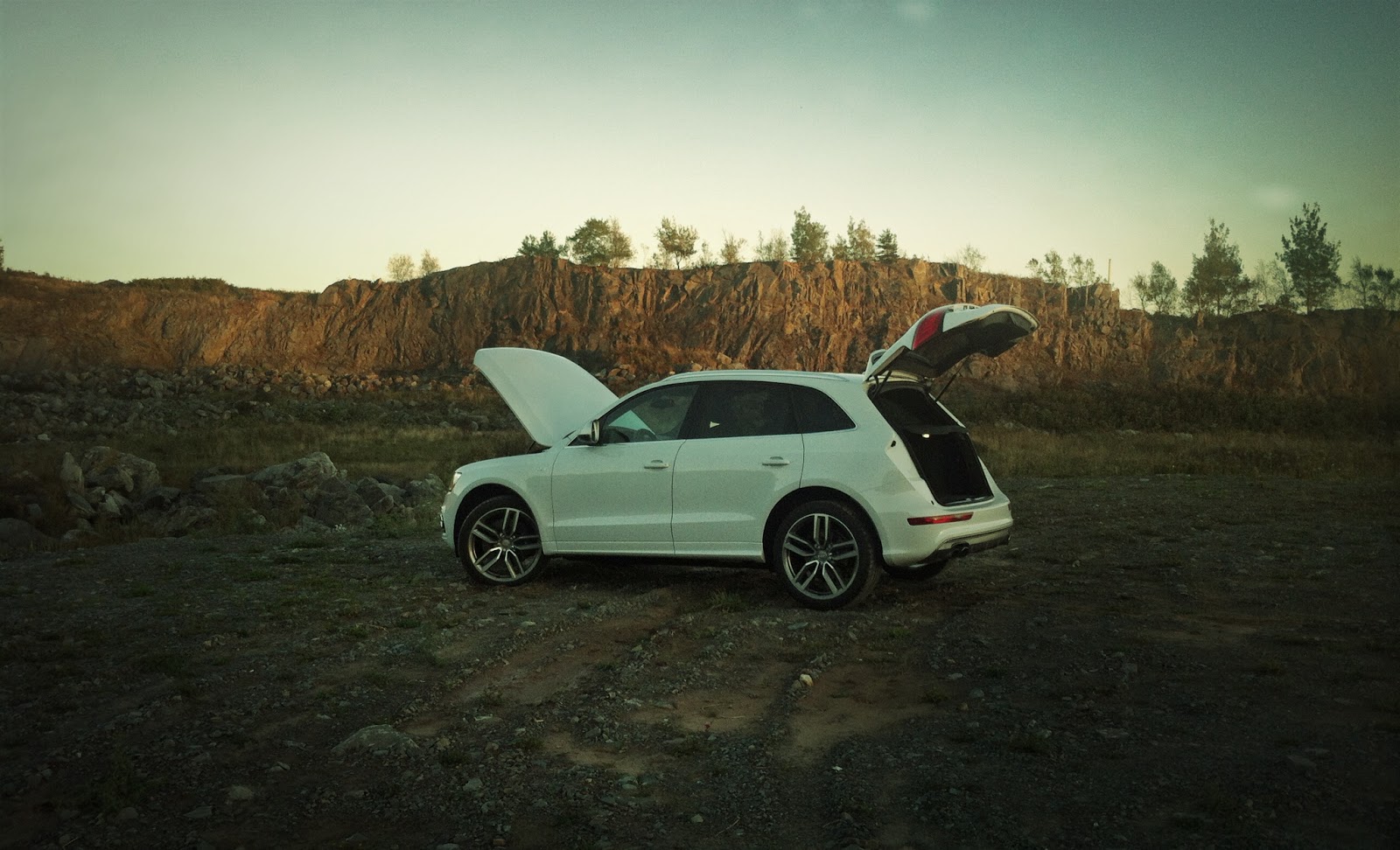 2014 Audi SQ5 Technik