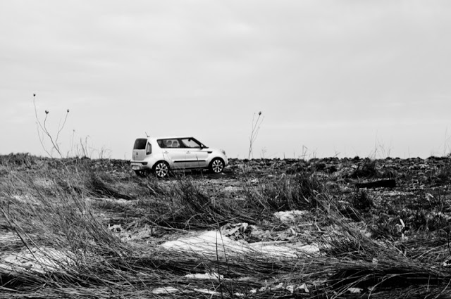 2013 Kia Soul 4U luxury at Eastern Passage beach