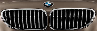 2013 BMW 6-Series Gran Coupe Grille