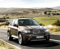 2011 BMW X5 Brown