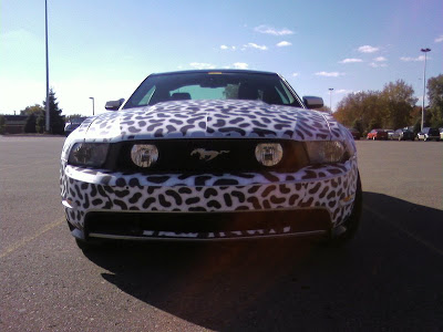 2010 Ford Mustang GT