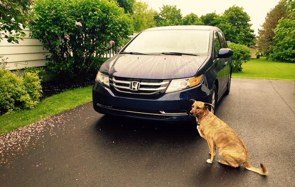 2015 Honda Odyssey EX Obsidian Blue