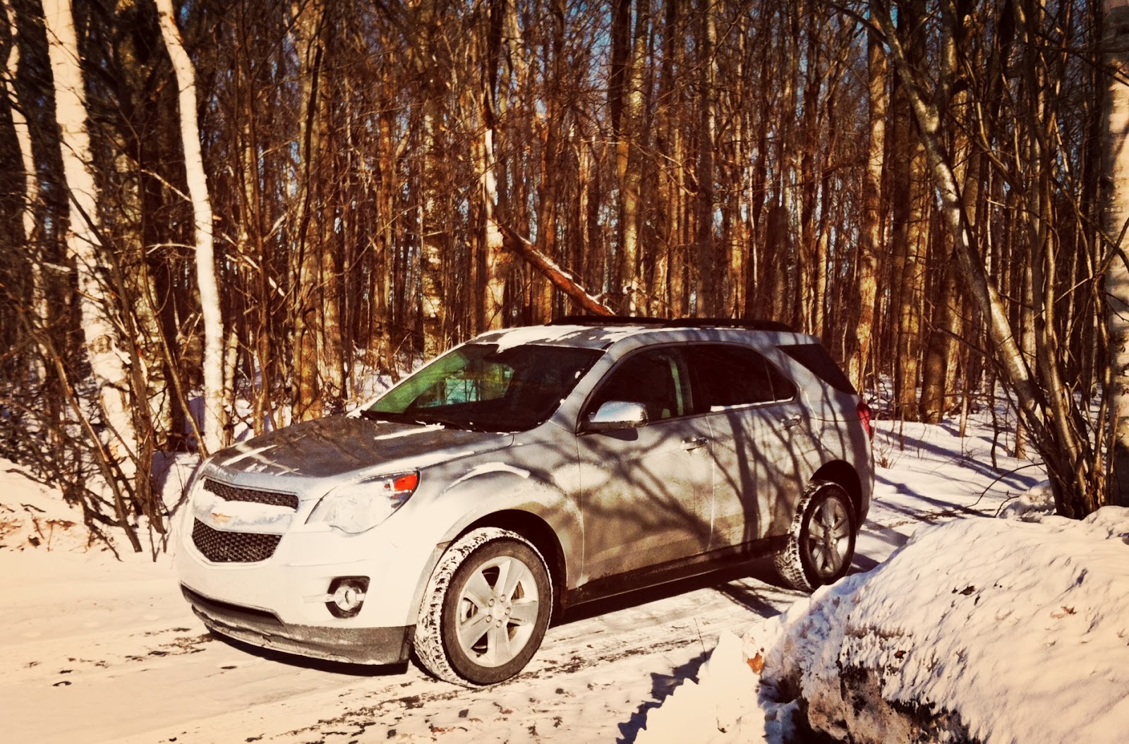 2014 Chevrolet Equinox LT AWD forest