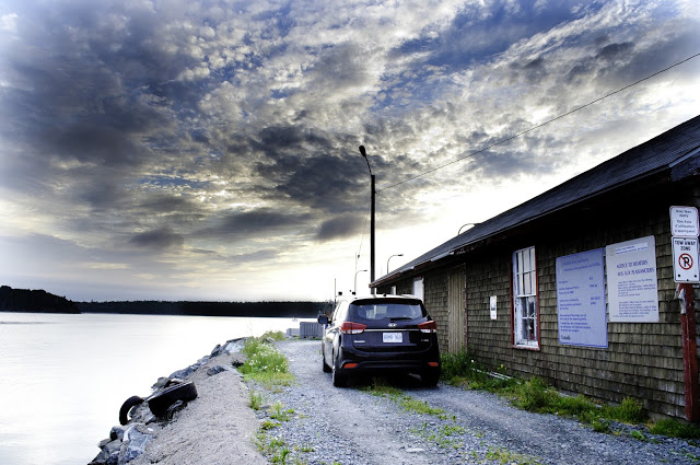 2014 Kia Rondo EX Luxury rear view